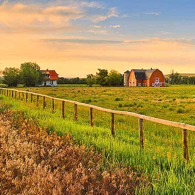 Farmhouse in grass field