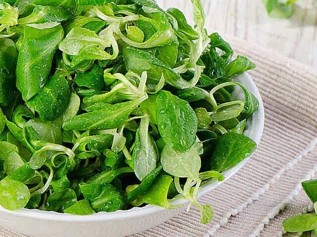 Bowl full of Leafy Greens