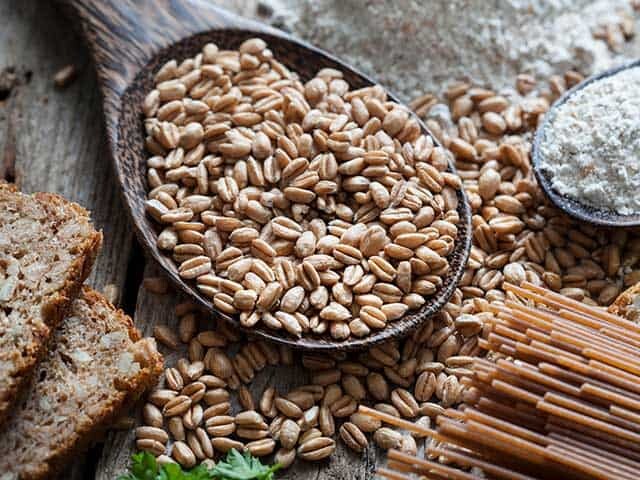 wooden spoon filled with vegan grains, two slices of bread and pasta