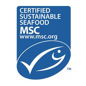 MSC Logo