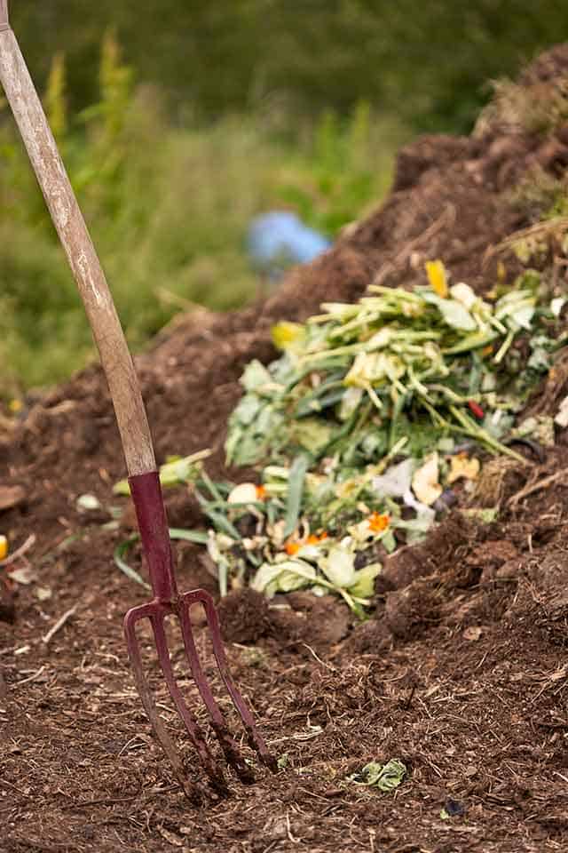 How to Start Composting: composting in the back yard