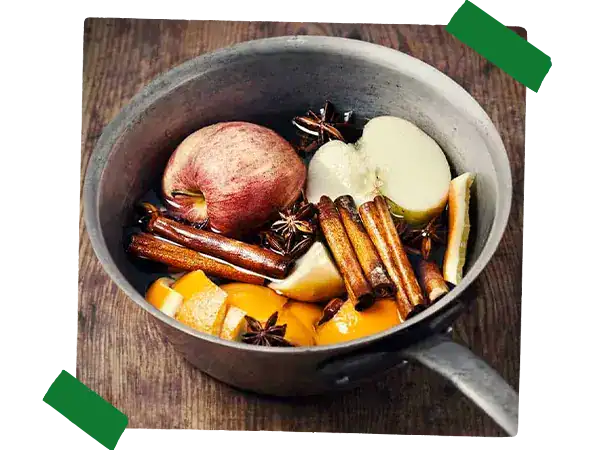 Simmer pot with spices and produce