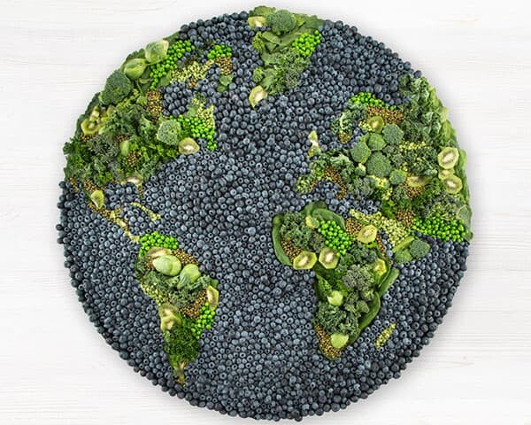 Earth Made with Blueberries, Kiwi and Broccoli