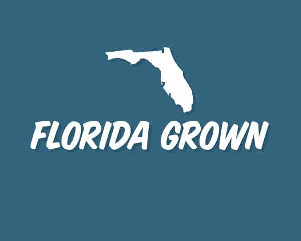 Florida Grown state image