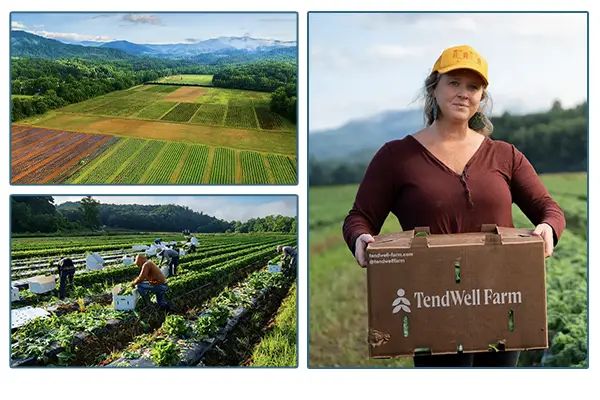 Tendwell Farm field and workers