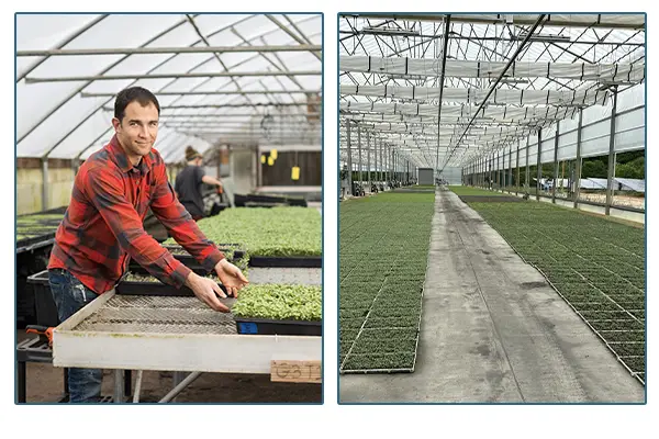 City Roots Farms greenhouse