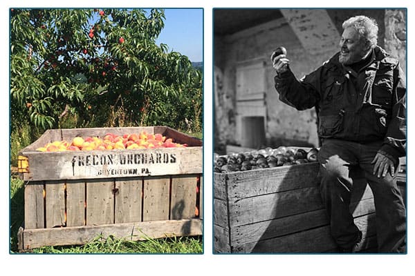 Frecon Farms owner holding fruit and sitting on a crate, and a crate in front of a fruit tree.