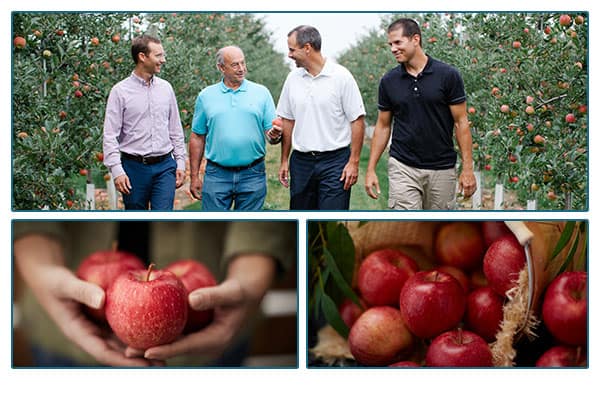 Hess brothers walking through trees, hands holding apples, and apples spilling from a basket.