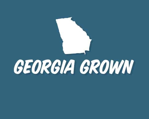 Georgia State Image