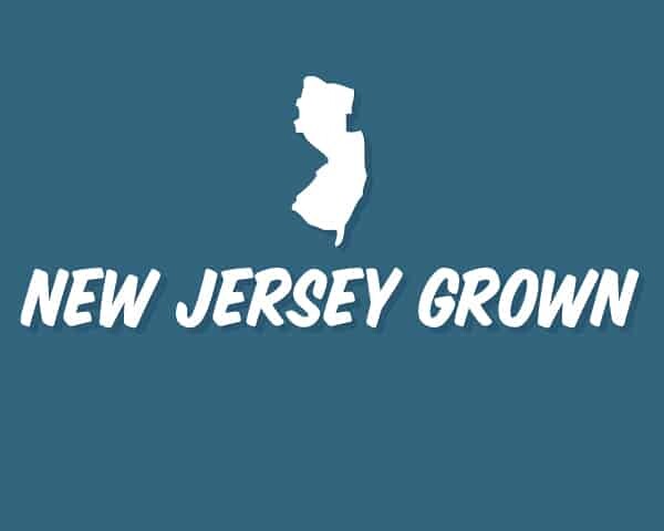 New Jersey State