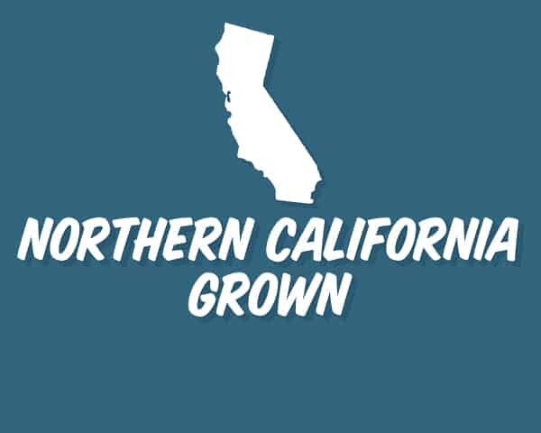 Northern California State Image