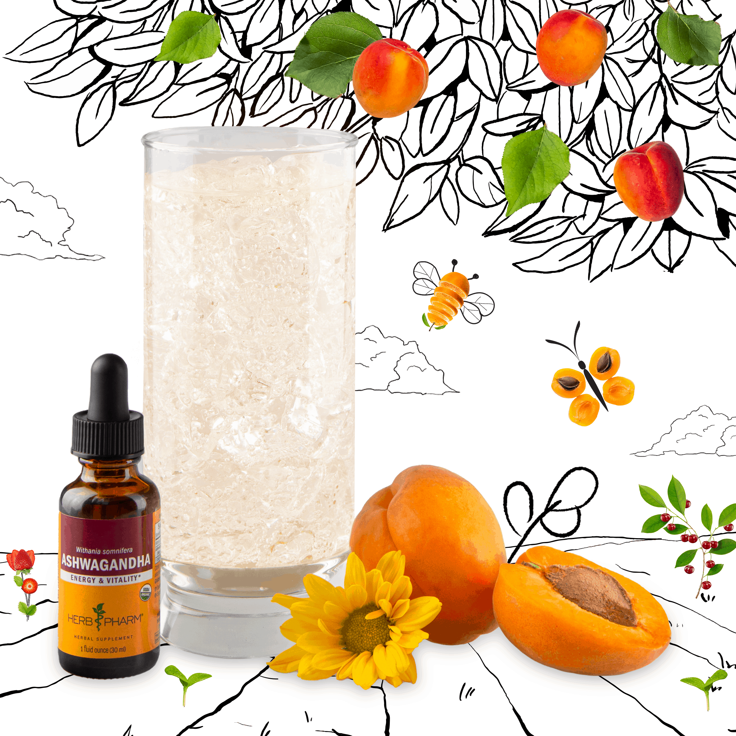 Ashwagandha Apricot Cooler