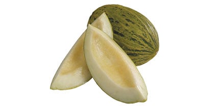 Santa Claus melon