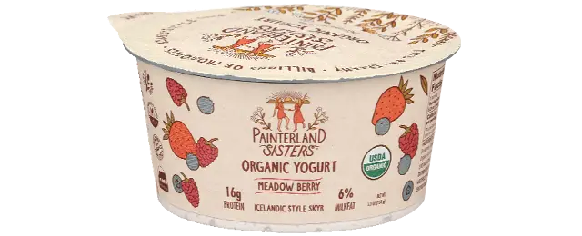 Painterland sisters yogurt cup