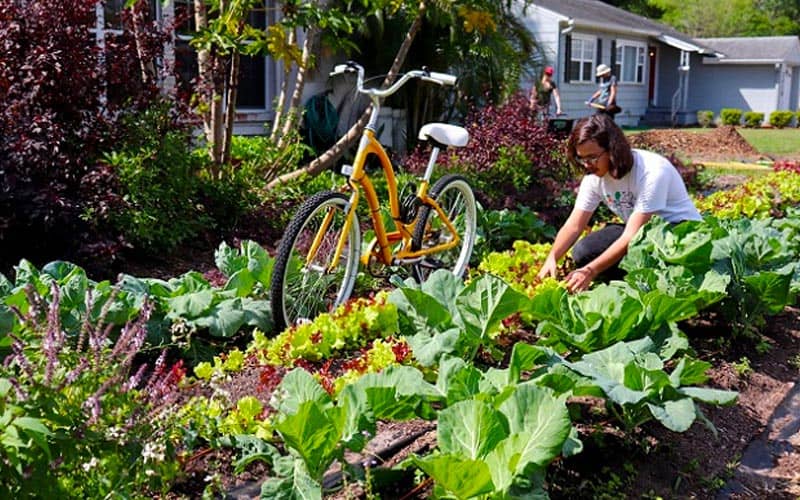 person gardening