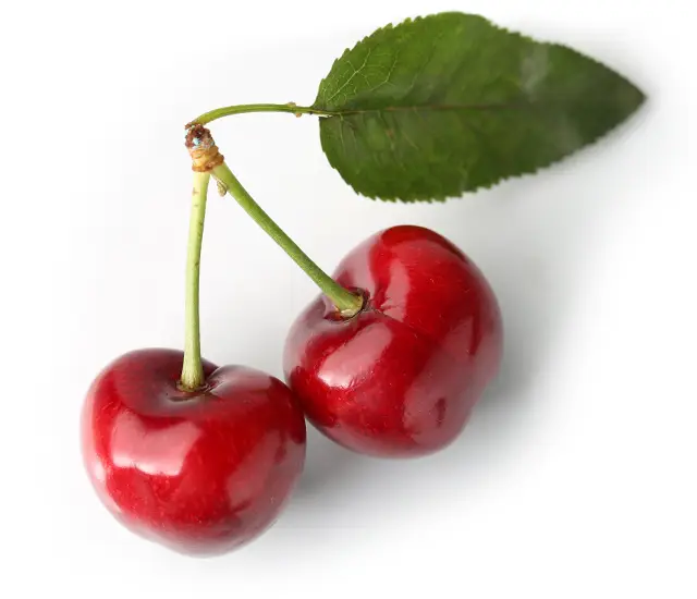 Cherries on a stem