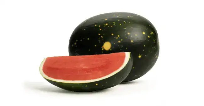 Moon and Stars Watermelon