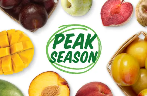 peak season logo surrounded by produce