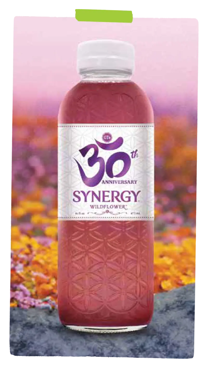 Synergy kombucha