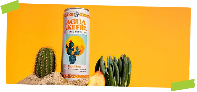 GTs Aqua de Kefir Peach Pina