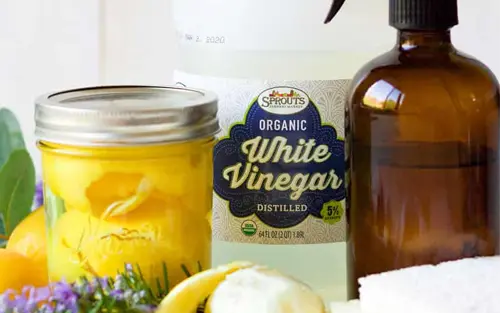 DIY Natural Spring Cleaners