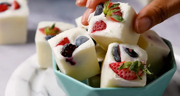 Collagen Berry Yogurt Bites