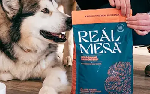 Bites Your Pup Will Beg For