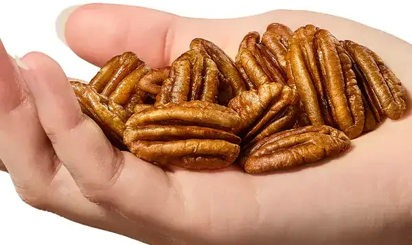 Hand holding Pecans